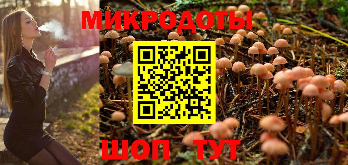 Галлюциногенные грибы ЛСД  Галлюциногенные грибы Psilocybe  Вход с VPN  Славгород 